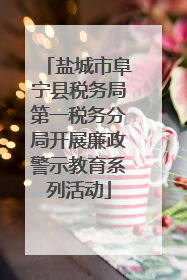 盐城市阜宁县税务局第一税务分局开展廉政警示教育系列活动